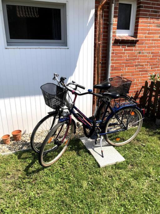 "Kleine 4" Idyllisches Tinyhouse An Der Nordsee Norden Luaran gambar